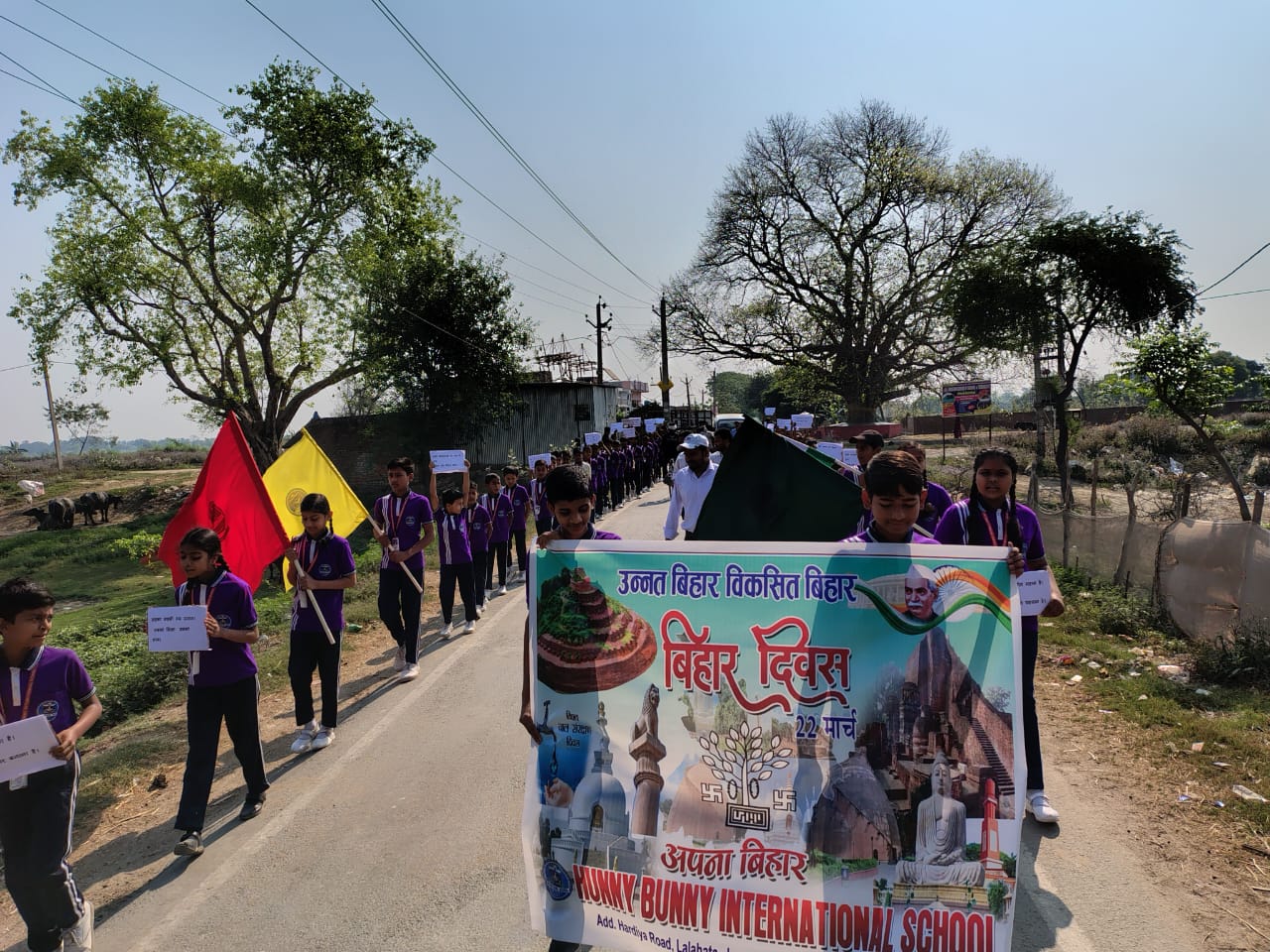 7119519.jpg